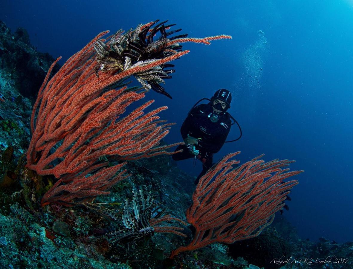 K2 Lembeh Dive Resort ビツン エクステリア 写真