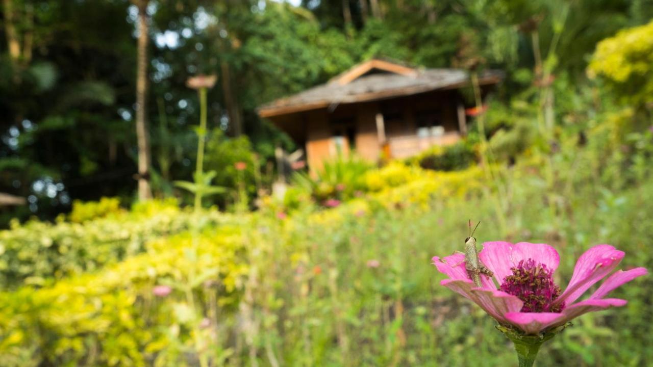 K2 Lembeh Dive Resort ビツン エクステリア 写真